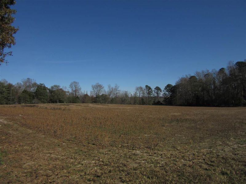 16 Acres Horace Baker Rd Lot 1, Zebulon, NC 27597