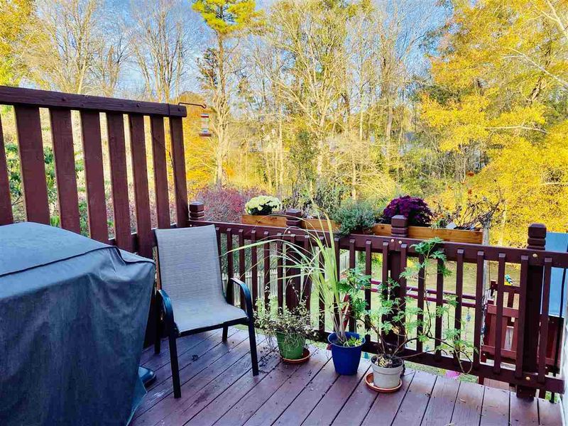 16 Pedestal Rock Ln, Durham, NC 27712