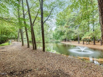 16 Pinnacle Rd, Durham, NC 27705
