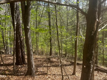 16 Quail Hollow Dr Lot 16, Roxboro, NC 27574