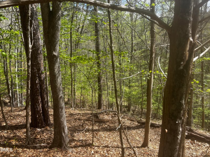 16 Quail Hollow Dr Lot 16, Roxboro, NC 27574