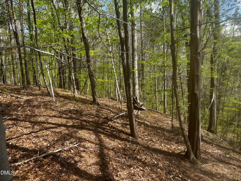 16 Quail Hollow Dr Lot 16, Roxboro, NC 27574