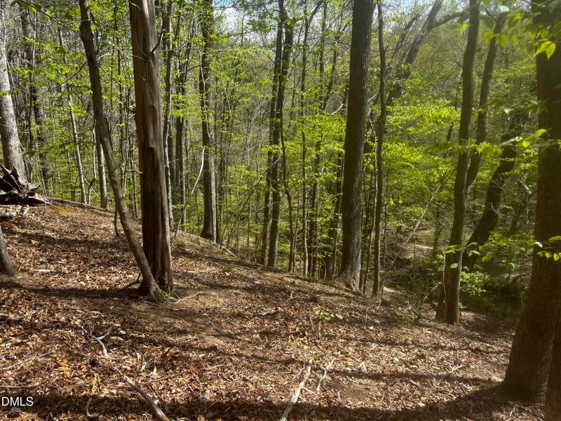 16 Quail Hollow Dr Lot 16, Roxboro, NC 27574