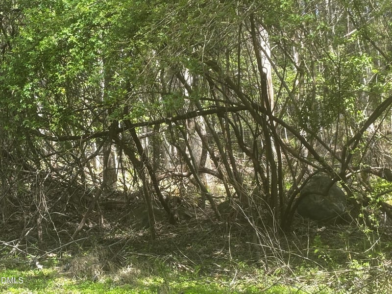 16 Quail Hollow Dr Lot 16, Roxboro, NC 27574