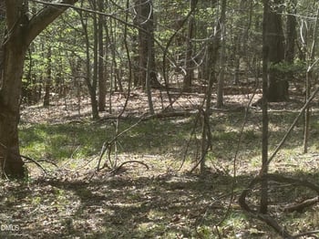 16 Quail Hollow Dr Lot 16, Roxboro, NC 27574