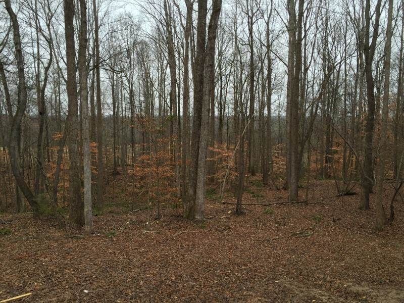 16 W Ridgeview Dr, Clayton, NC 27520