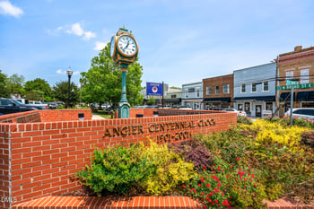 16 Serpens Dr #224, Angier, NC 27501