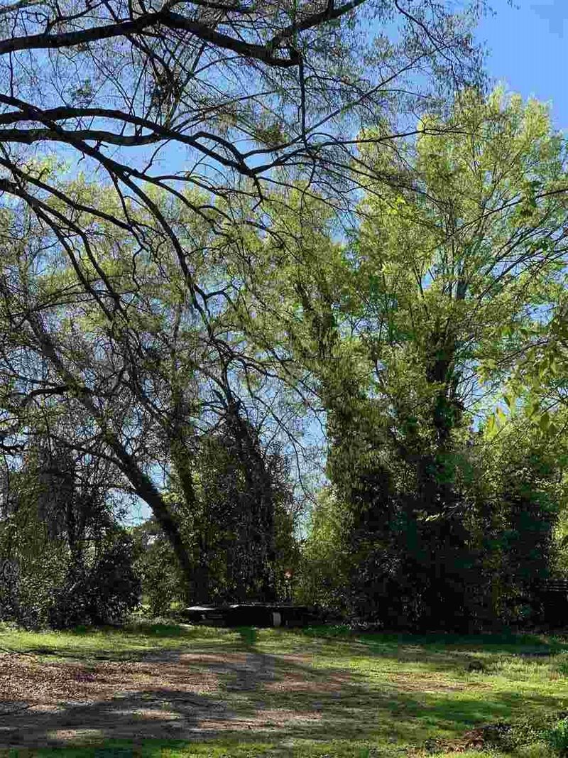16 S Swain St Lot 2, Raleigh, NC 27601