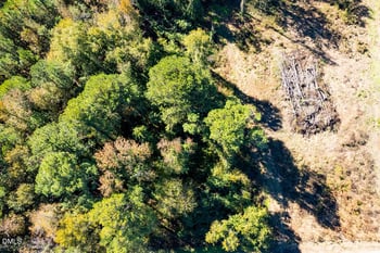 160 Cemetary Ln, Lillington, NC 27546