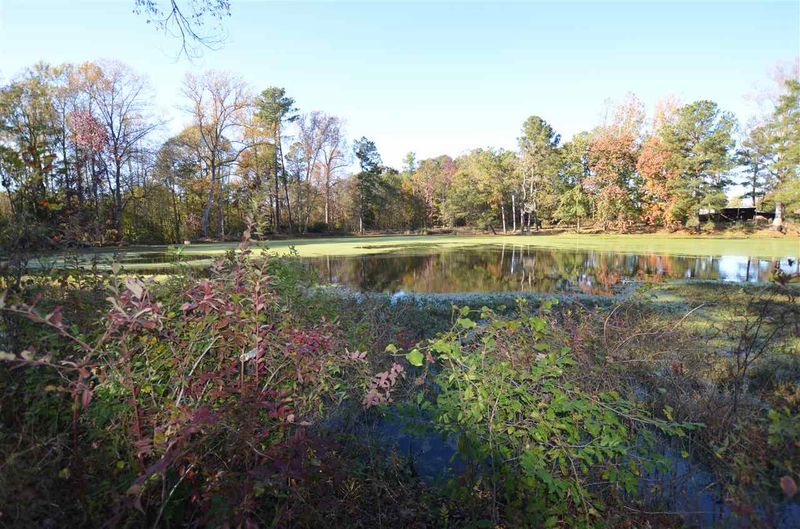 160 Christina Ave, Smithfield, NC 27577