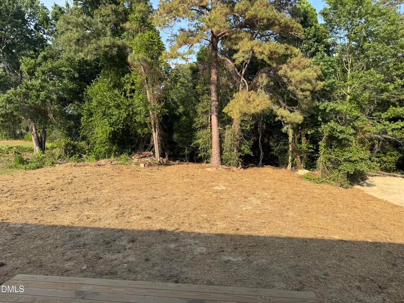160 Golfview Ave, Benson, NC 27504