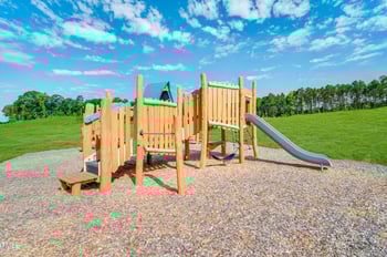 1601 Goldfinch Perch Ln, Knightdale, NC 27545
