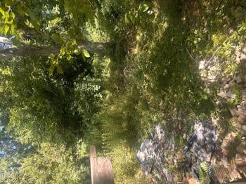 1605 Kilmer Ter, Durham, NC 27703