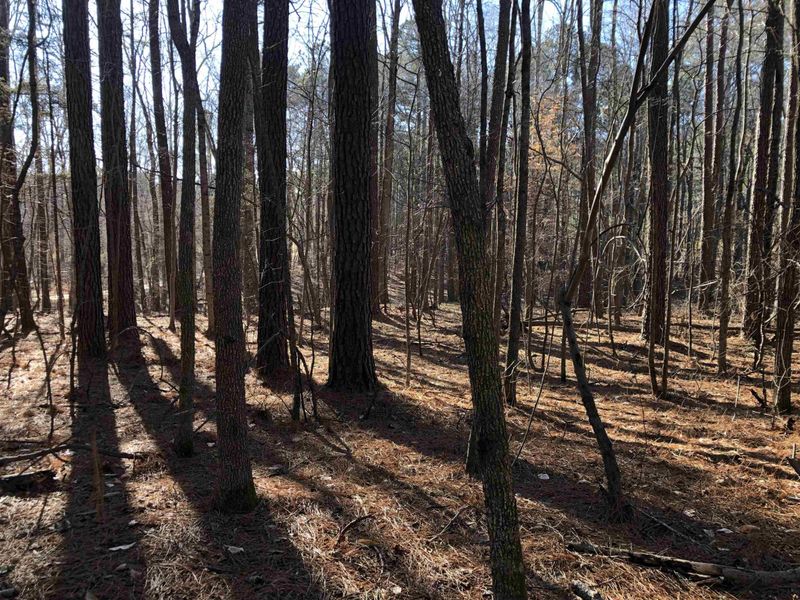 1605 Wayside Farm Rd, Franklinton, NC 27525