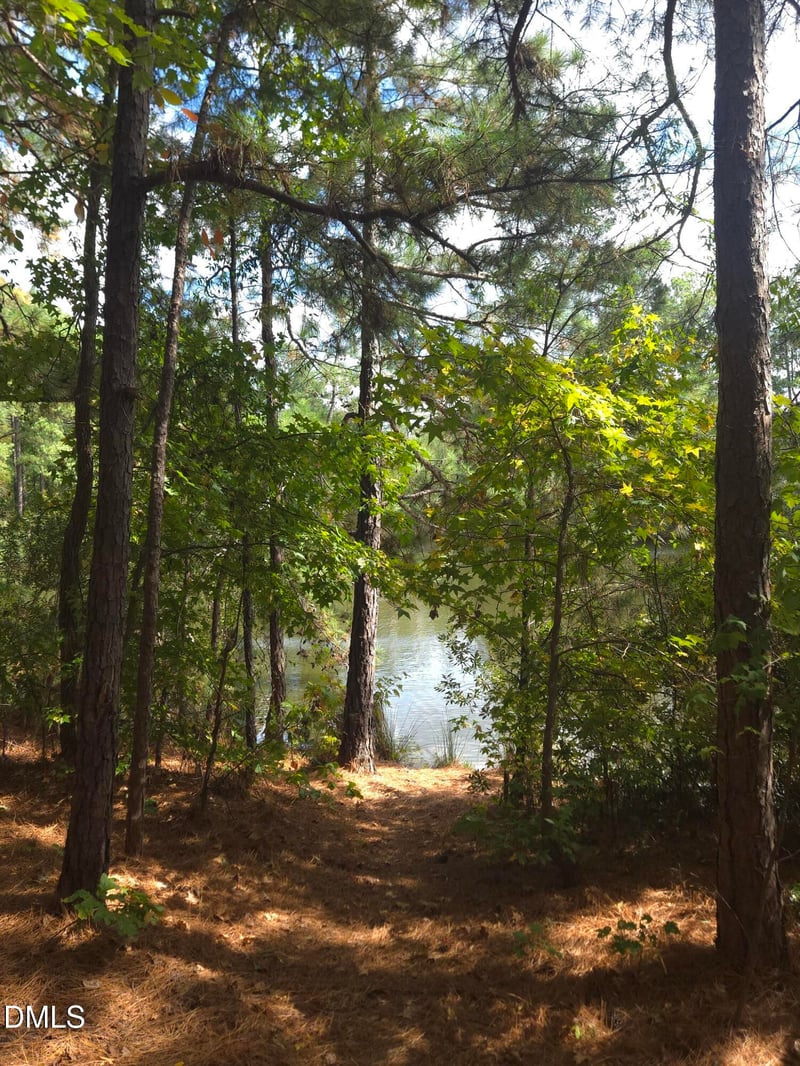 1607 Eagle Lodge Ln, Durham, NC 27703