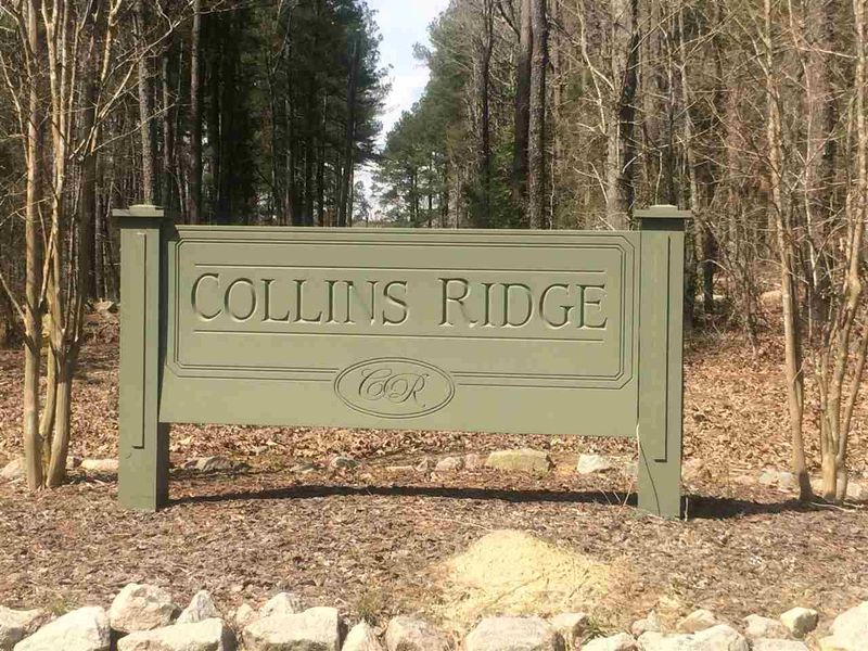 161 Ridge Top Dr Lot 2, Chapel Hill, NC 27516