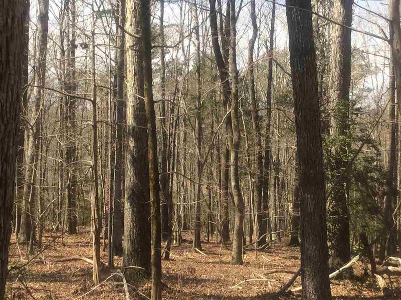 161 Ridge Top Dr Lot 2, Chapel Hill, NC 27516
