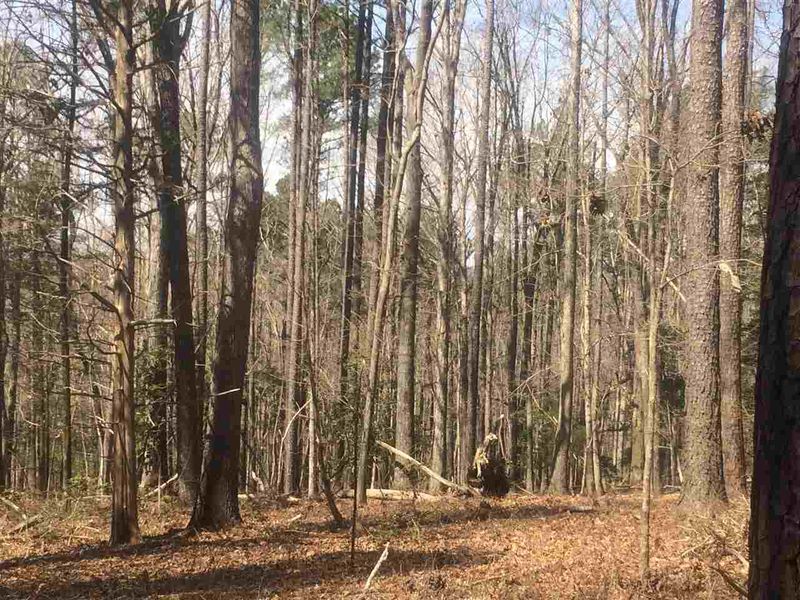 161 Ridge Top Dr Lot 2, Chapel Hill, NC 27516