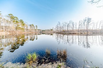 161 White Oak St, Carthage, NC 28327