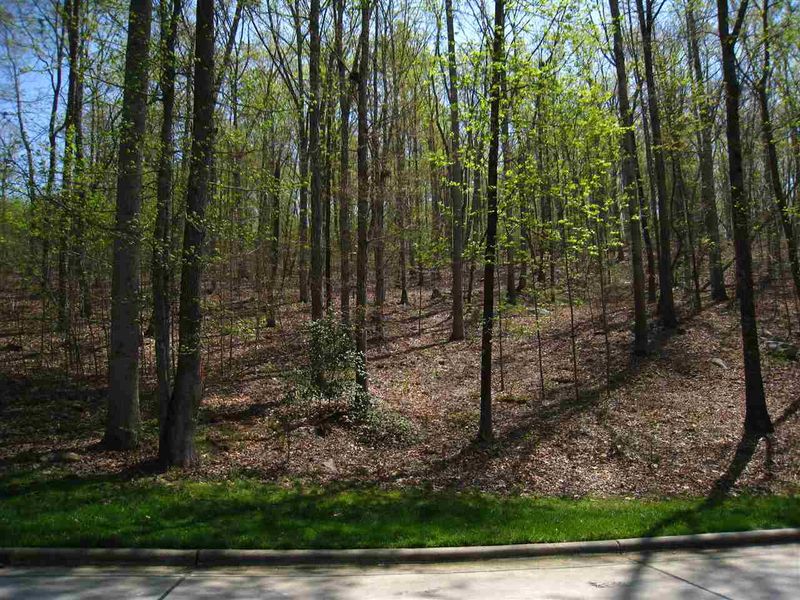 16112 Morehead Lot 932, Chapel Hill, NC 27517
