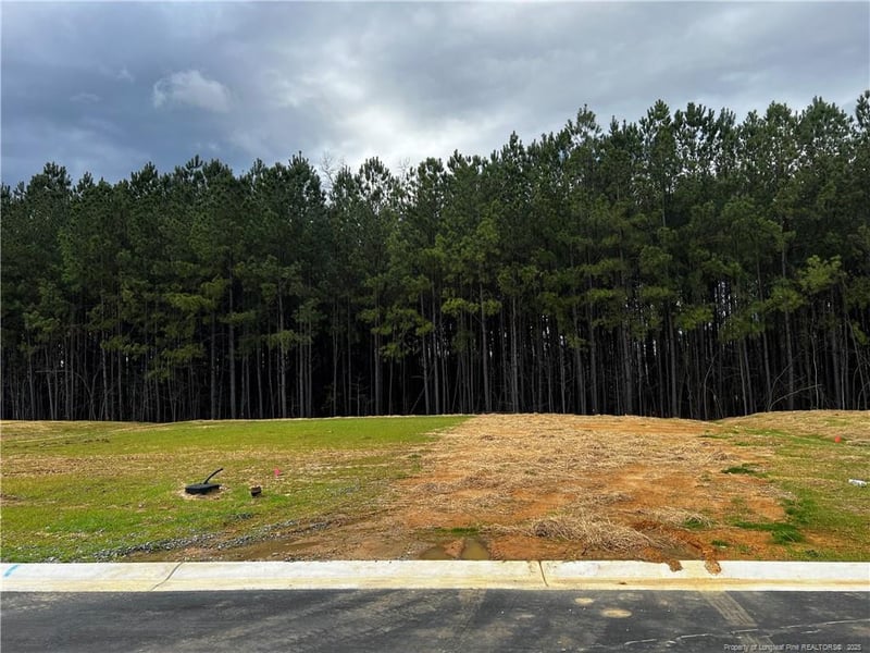 1616 Elk Run Dr Lot 113, Fayetteville, NC 28312