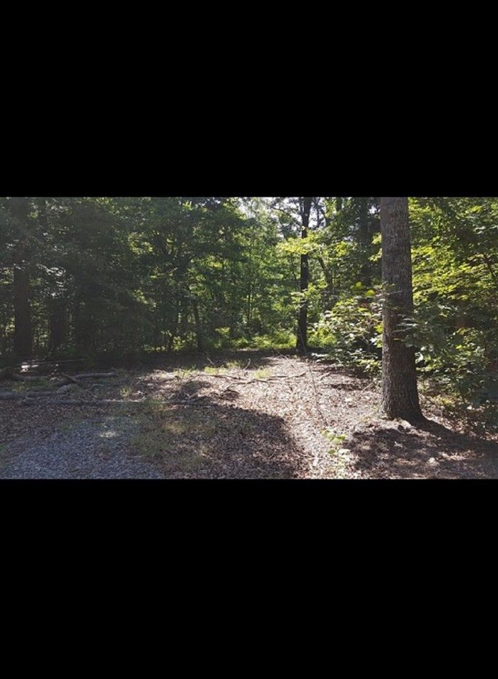 1616 Fire Tower Rd Lot 11-A, Snow Camp, NC 27349