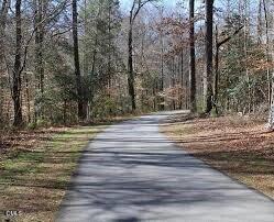 1617 Heritage Garden St, Wake Forest, NC 27587