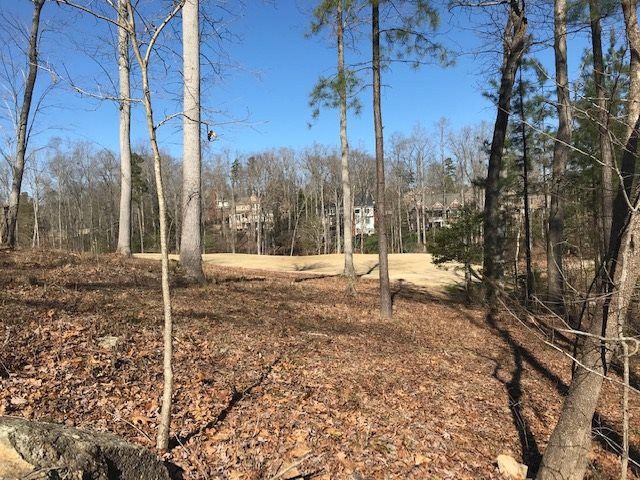 162 Bear Tree Creek Lot 90C, Chapel Hill, NC 27517