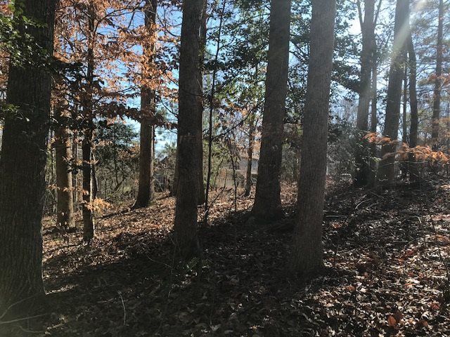 162 Bear Tree Creek Lot 90C, Chapel Hill, NC 27517
