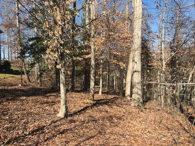 162 Bear Tree Creek Lot 90C, Chapel Hill, NC 27517