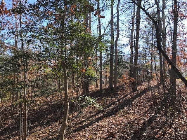 162 Bear Tree Creek Lot 90C, Chapel Hill, NC 27517