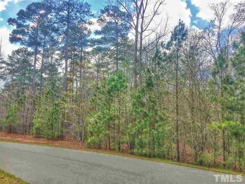 162 Centennial Ct Lot 38, Apex, NC 27523