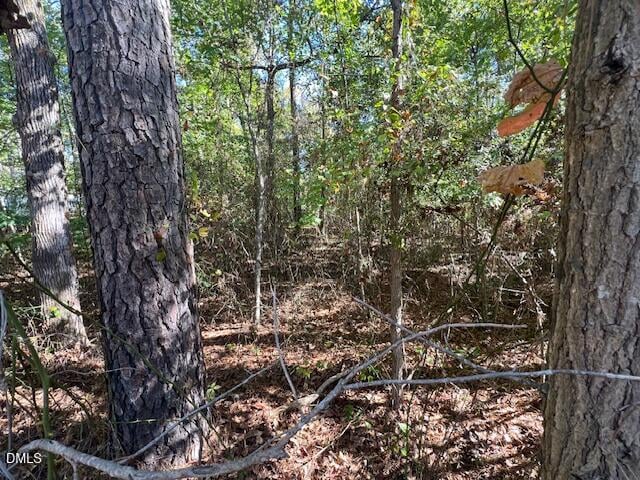 162 Eagle Dr, Louisburg, NC 27549