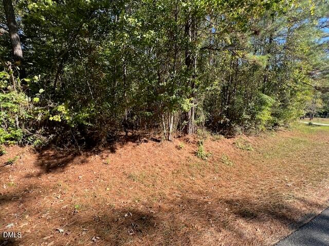 162 Eagle Dr, Louisburg, NC 27549