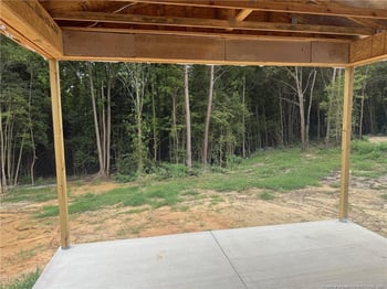 162 Surles Landing Way, Benson, NC 27504