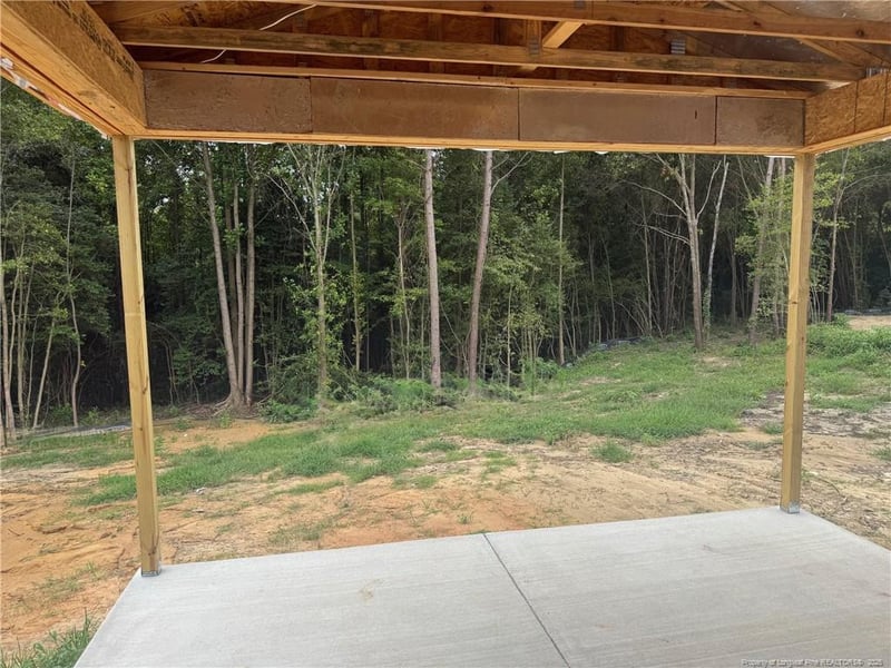 162 Surles Landing Way, Benson, NC 27504