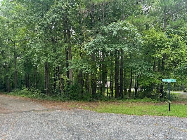 162 Woodwedge Way, Sanford, NC 27332