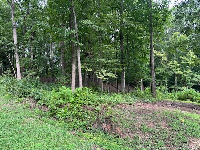 162 Woodwedge Way, Sanford, NC 27332