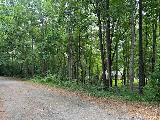 162 Woodwedge Way, Sanford, NC 27332