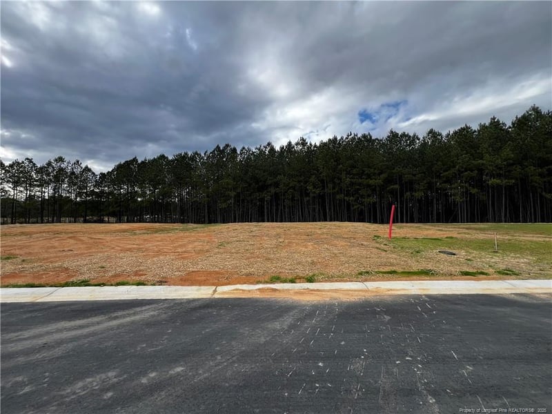 1620 Elk Run Dr Lot 114, Fayetteville, NC 28312