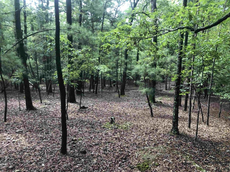 1623 Pea Ridge Rd Lot n/a, Pittsboro, NC 27312
