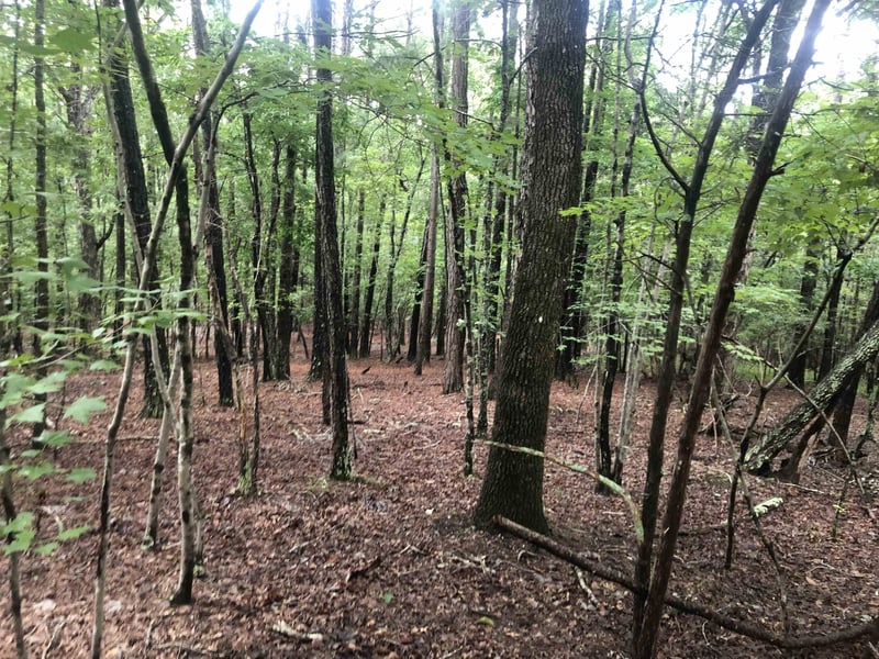 1623 Pea Ridge Rd Lot n/a, Pittsboro, NC 27312