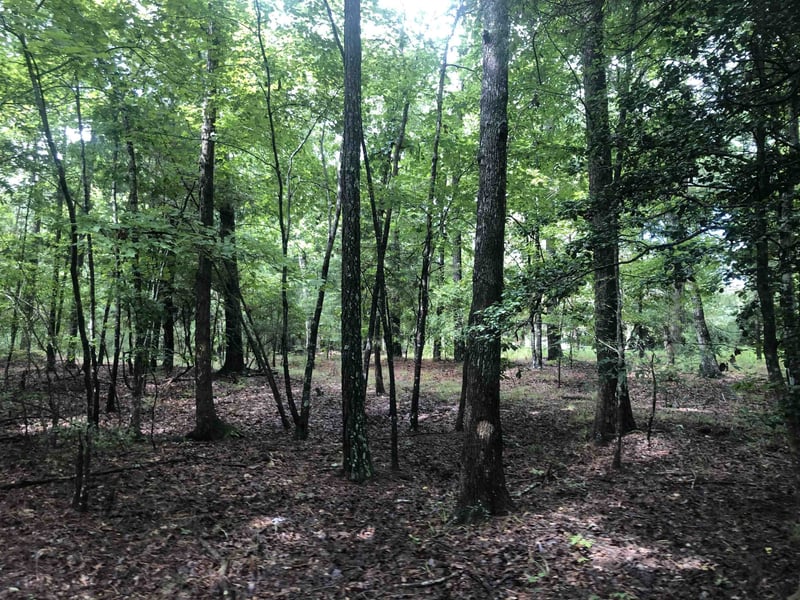 1623 Pea Ridge Rd Lot n/a, Pittsboro, NC 27312