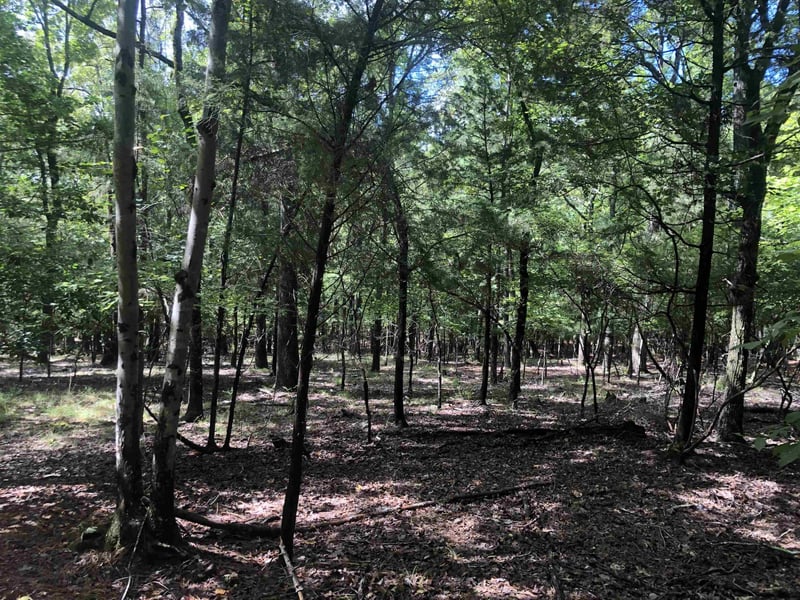 1623 Pea Ridge Rd Lot n/a, Pittsboro, NC 27312