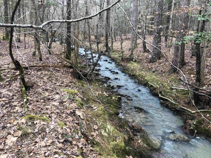 1623 Pea Ridge Rd Lot n/a, Pittsboro, NC 27312