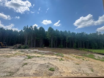 163 Batten Hill Ln, Selma, NC 27576