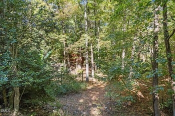 163 Lake Ellen Dr, Chapel Hill, NC 27514