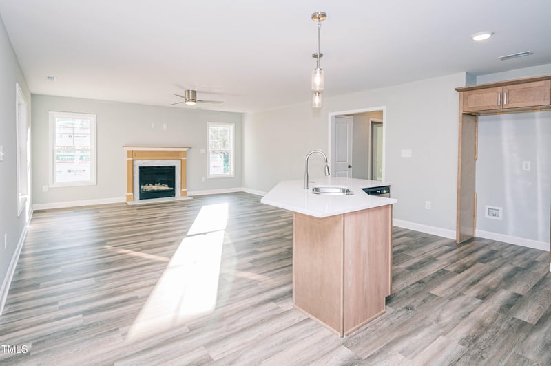 163 Maple Dr, Erwin, NC 28339