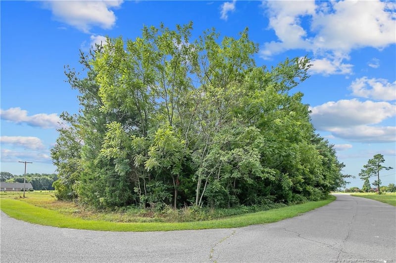 1631 Ferndale Dr, Fayetteville, NC 28314