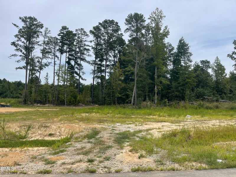 164 Lake Edge Dr, Lillington, NC 27546